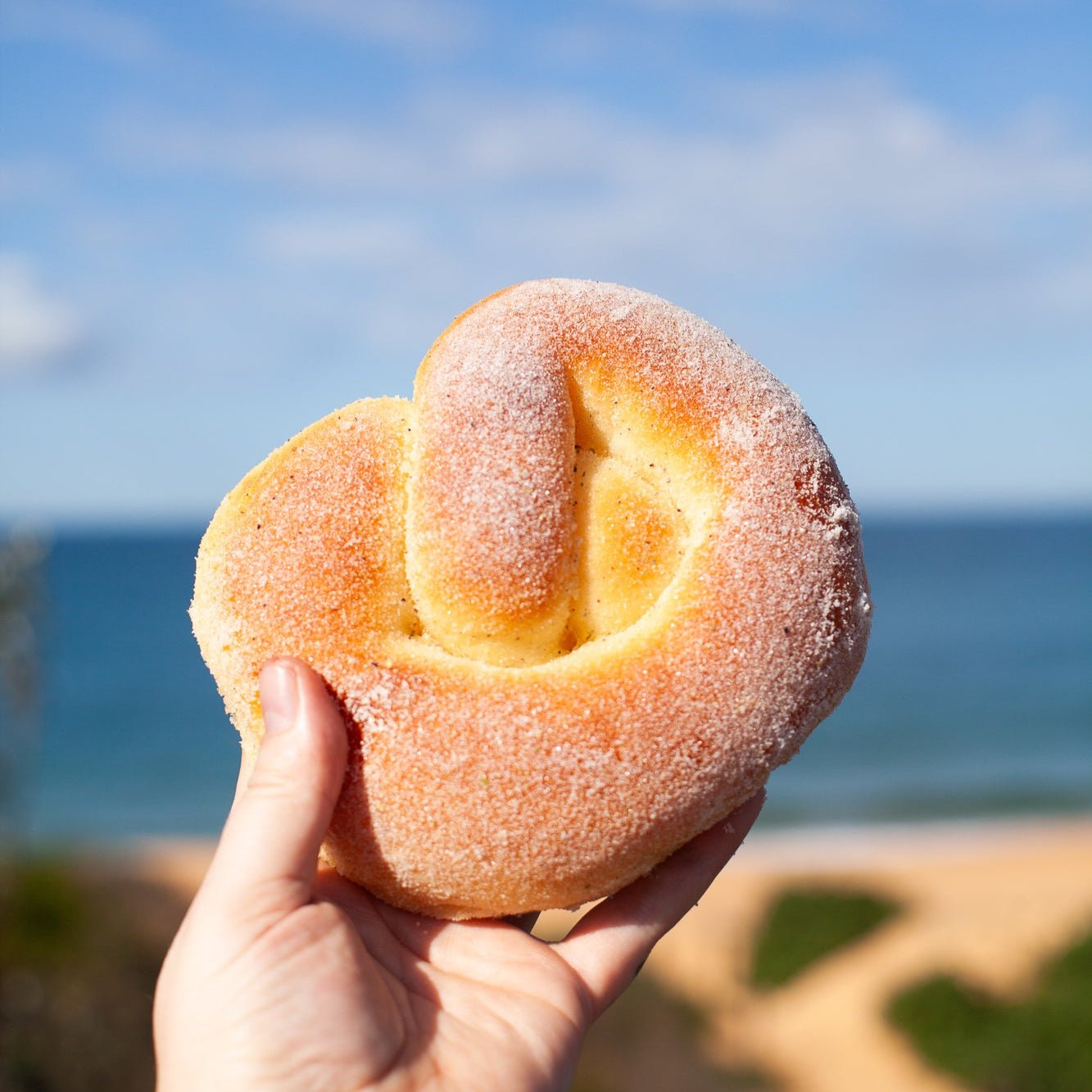 Sweet Cardamom Pretzel - Burnt Honey Bakery - Burnt Honey Bakery