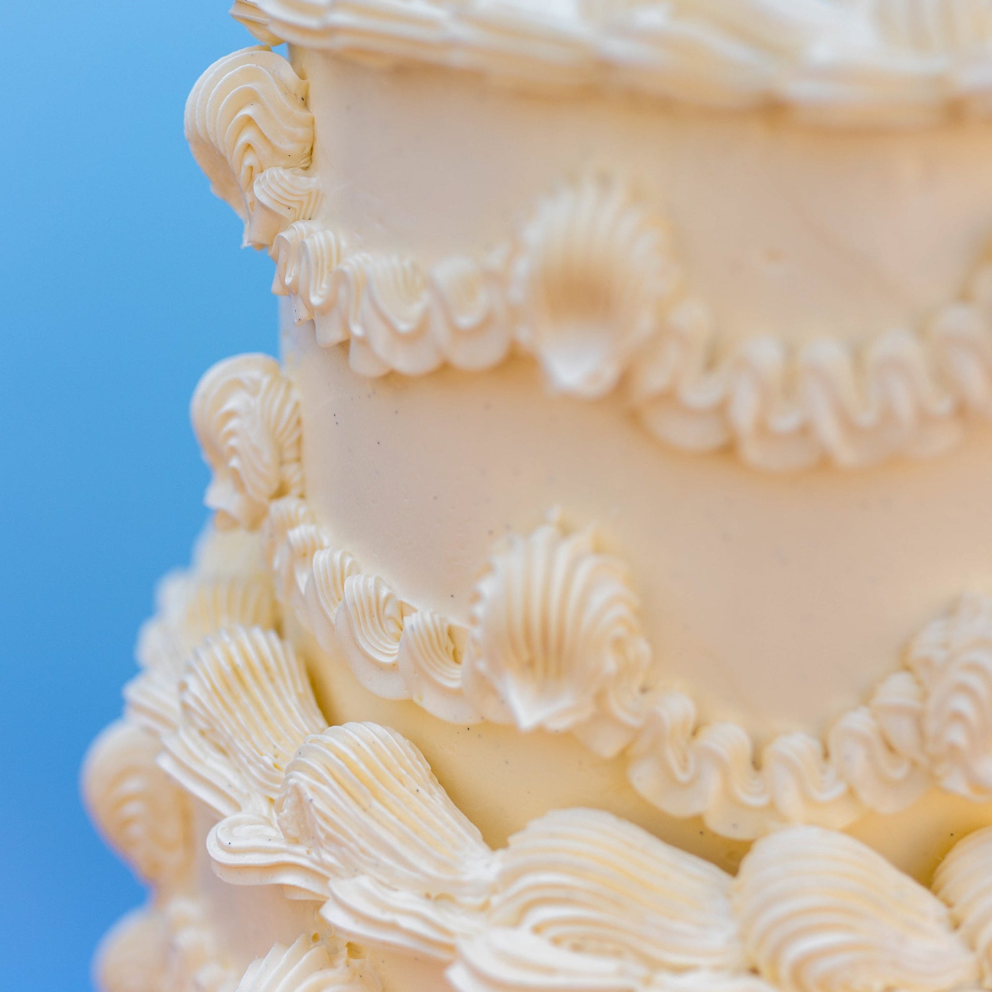 Piped to Perfection - Burnt Honey Bakery - Burnt Honey Bakery