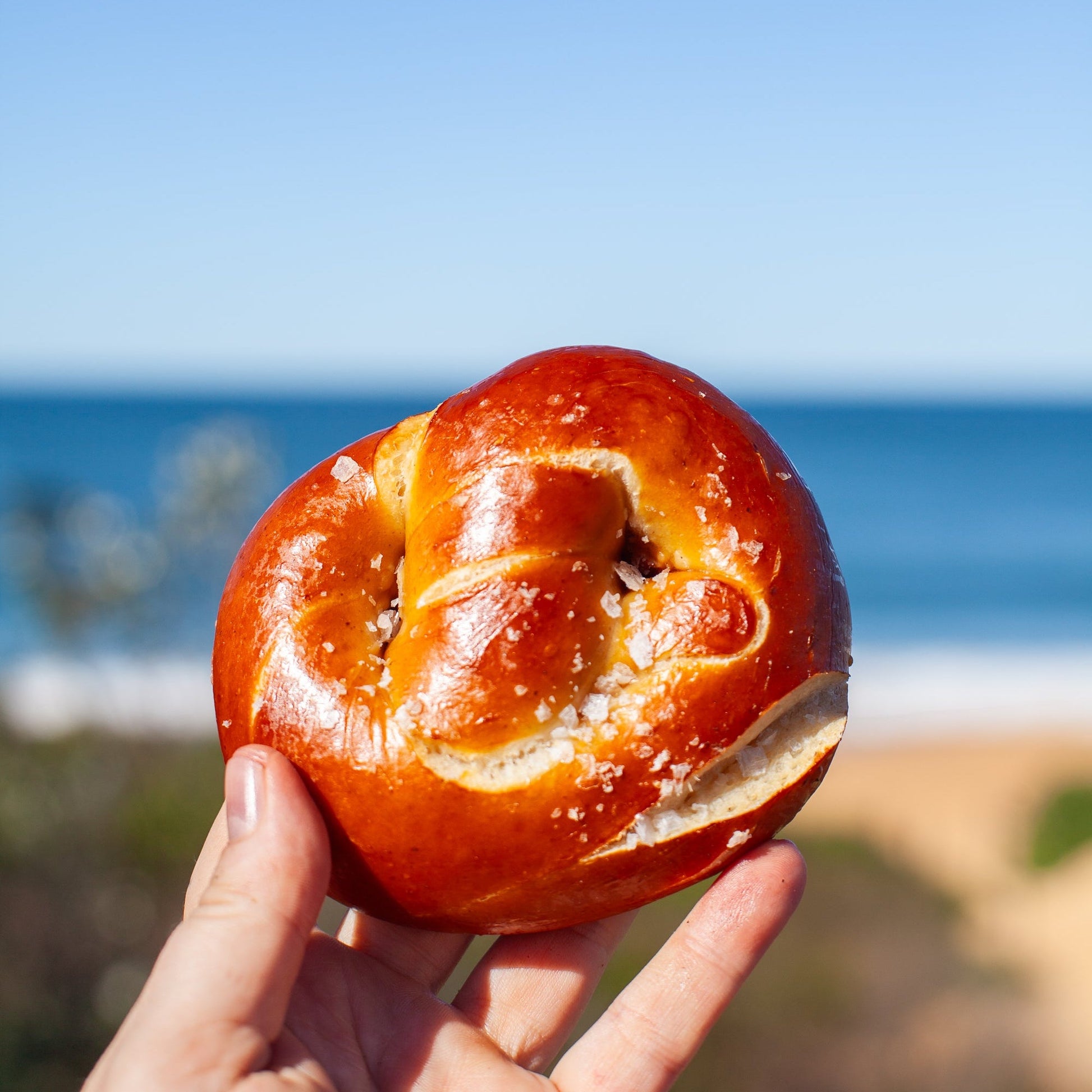 Salted Soft Pretzels - Burnt Honey Bakery - Burnt Honey Bakery